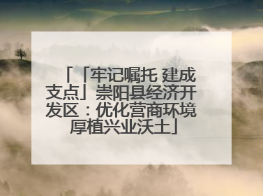 「牢记嘱托 建成支点」崇阳县经济开发区：优化营商环境 厚植兴业沃土