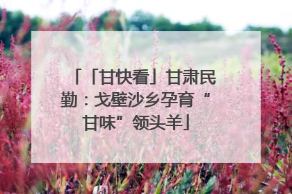 「甘快看」甘肃民勤：戈壁沙乡孕育“甘味”领头羊