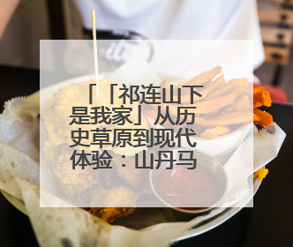 「祁连山下是我家」从历史草原到现代体验：山丹马场景区多维升级 解锁五一文旅新玩法