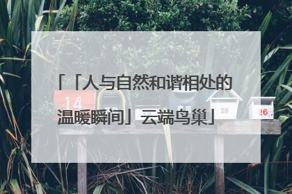 「人与自然和谐相处的温暖瞬间」云端鸟巢