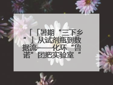 「暑期“三下乡”」从试剂瓶到数据流——化环“鲁诺”团把实验室“搬”回家乡，点亮桑梓求知路