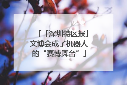 「深圳特区报」文博会成了机器人的“赛博舞台”