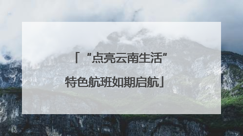 “点亮云南生活”特色航班如期启航