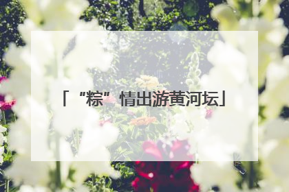 “粽”情出游黄河坛