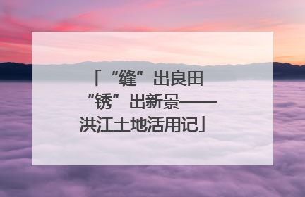“缝”出良田 “锈”出新景——洪江土地活用记