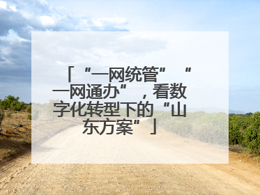 “一网统管”“一网通办”，看数字化转型下的“山东方案”