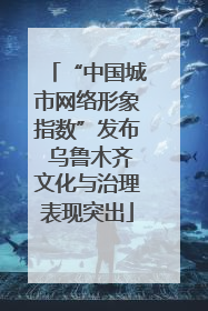 “中国城市网络形象指数”发布 乌鲁木齐文化与治理表现突出