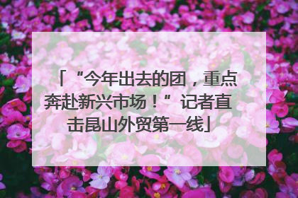 “今年出去的团，重点奔赴新兴市场！”记者直击昆山外贸第一线