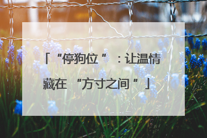 “停狗位 ”：让温情藏在 “方寸之间 ”