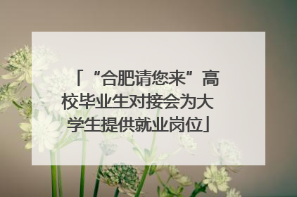 “合肥请您来”高校毕业生对接会为大学生提供就业岗位