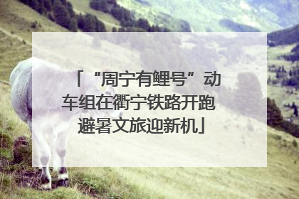 “周宁有鲤号”动车组在衢宁铁路开跑 避暑文旅迎新机