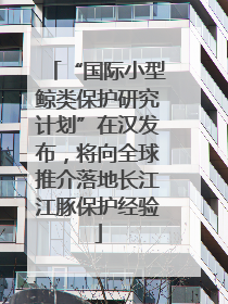 “国际小型鲸类保护研究计划”在汉发布，将向全球推介落地长江江豚保护经验