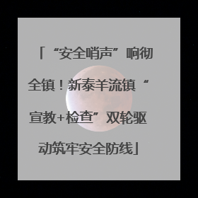 “安全哨声”响彻全镇！新泰羊流镇“宣教+检查”双轮驱动筑牢安全防线