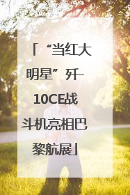 “当红大明星”歼-10CE战斗机亮相巴黎航展