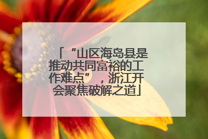 “山区海岛县是推动共同富裕的工作难点”，浙江开会聚焦破解之道