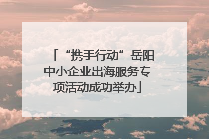 “携手行动”岳阳中小企业出海服务专项活动成功举办