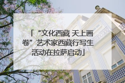 “文化西藏 天上画卷”艺术家西藏行写生活动在拉萨启动