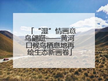 “湿”情画意鸟翩跹——黄河口候鸟栖息地再绘生态新画卷