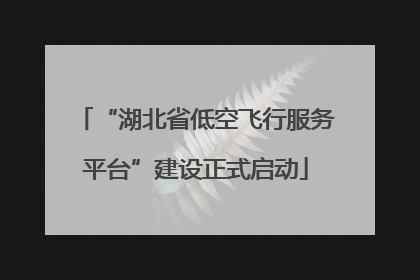“湖北省低空飞行服务平台”建设正式启动