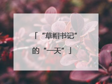 “草帽书记”的“一天”