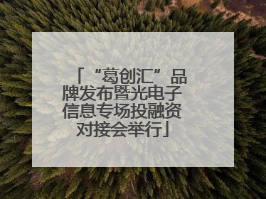 “葛创汇”品牌发布暨光电子信息专场投融资对接会举行