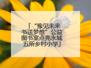 “豫见未来 书送梦想”公益图书室点亮永城五所乡村小学