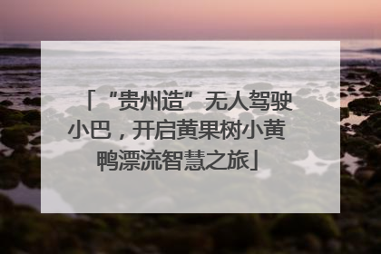 “贵州造”无人驾驶小巴，开启黄果树小黄鸭漂流智慧之旅