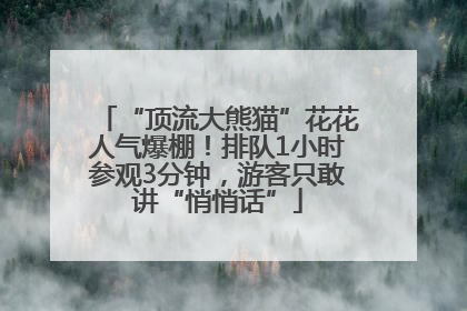 “顶流大熊猫”花花人气爆棚！排队1小时参观3分钟，游客只敢讲“悄悄话”