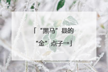 “黑马”县的“金”点子→