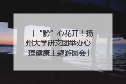 “黔”心花开！扬州大学研支团举办心理健康主题游园会