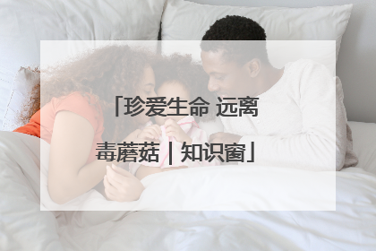 珍爱生命 远离毒蘑菇｜知识窗