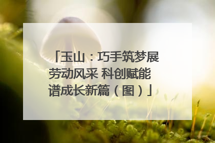 玉山：巧手筑梦展劳动风采 科创赋能谱成长新篇（图）