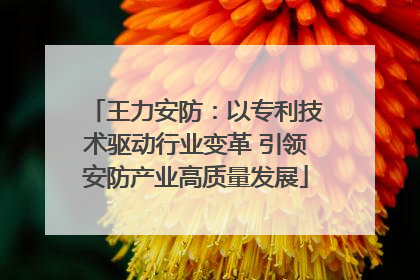 王力安防：以专利技术驱动行业变革 引领安防产业高质量发展