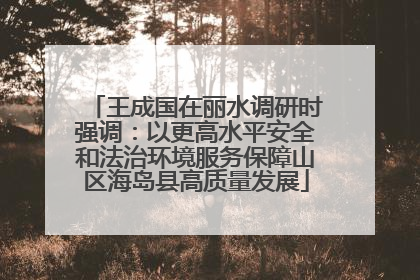 王成国在丽水调研时强调：以更高水平安全和法治环境服务保障山区海岛县高质量发展