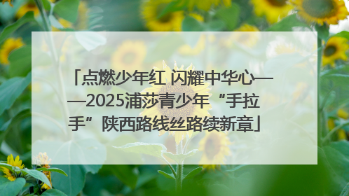 点燃少年红 闪耀中华心——2025浦莎青少年“手拉手”陕西路线丝路续新章