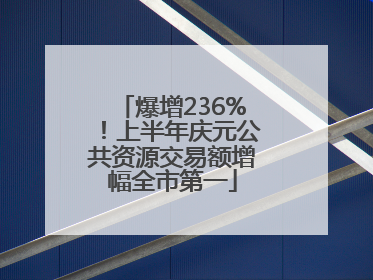 爆增236%！上半年庆元公共资源交易额增幅全市第一