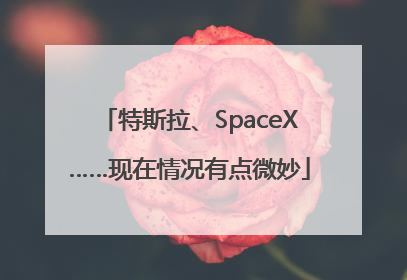 特斯拉、SpaceX……现在情况有点微妙