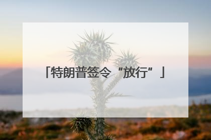特朗普签令“放行”