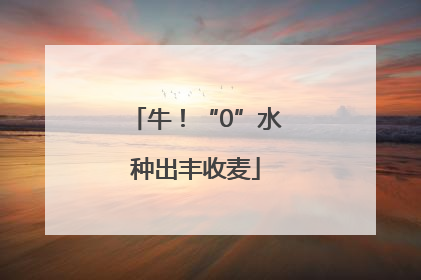 牛！“0”水种出丰收麦