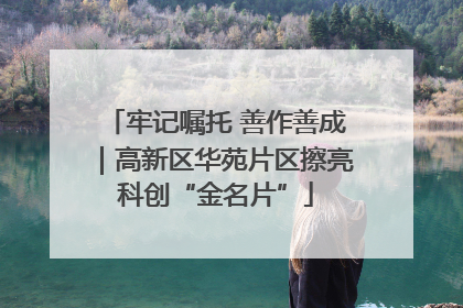 牢记嘱托 善作善成｜高新区华苑片区擦亮科创“金名片”