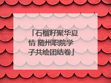 石榴籽聚华夏情 随州职院学子共绘团结卷