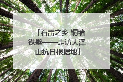 石雷之乡 铜墙铁壁——走访大泽山抗日根据地