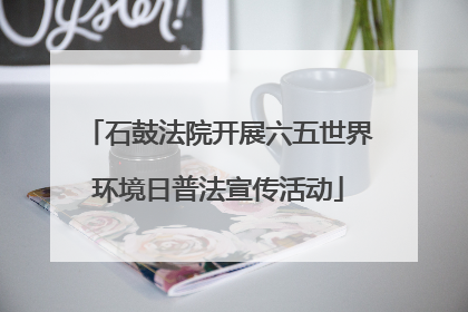 石鼓法院开展六五世界环境日普法宣传活动