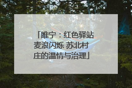 睢宁：红色驿站麦浪闪烁 苏北村庄的温情与治理