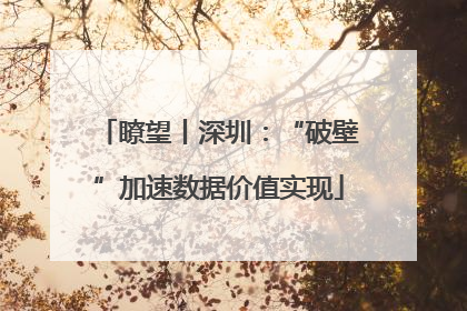 瞭望丨深圳：“破壁”加速数据价值实现