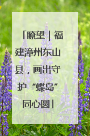 瞭望｜福建漳州东山县，画出守护“蝶岛”同心圆