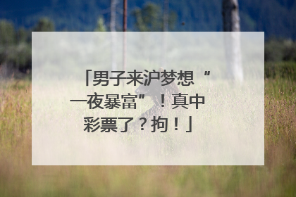 男子来沪梦想“一夜暴富”！真中彩票了？拘！