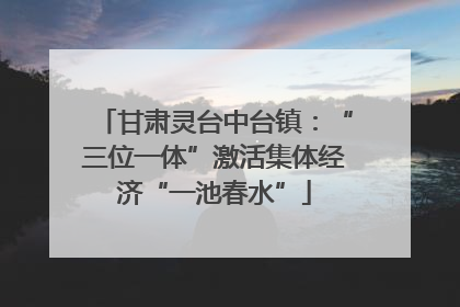 甘肃灵台中台镇：“三位一体”激活集体经济“一池春水”