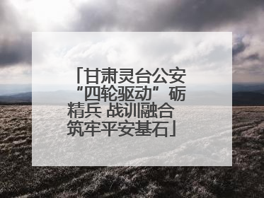 甘肃灵台公安“四轮驱动”砺精兵 战训融合筑牢平安基石