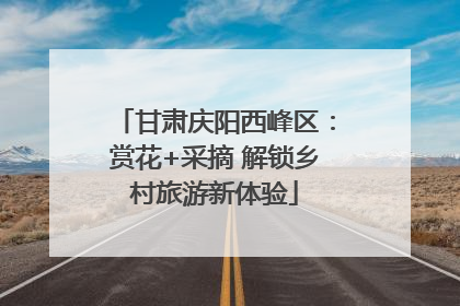 甘肃庆阳西峰区：赏花+采摘 解锁乡村旅游新体验